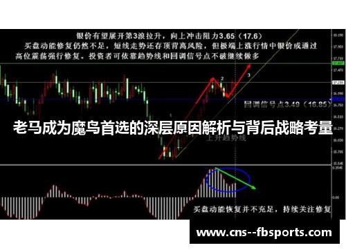 老马成为魔鸟首选的深层原因解析与背后战略考量